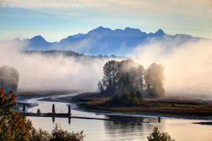 Morning Mist